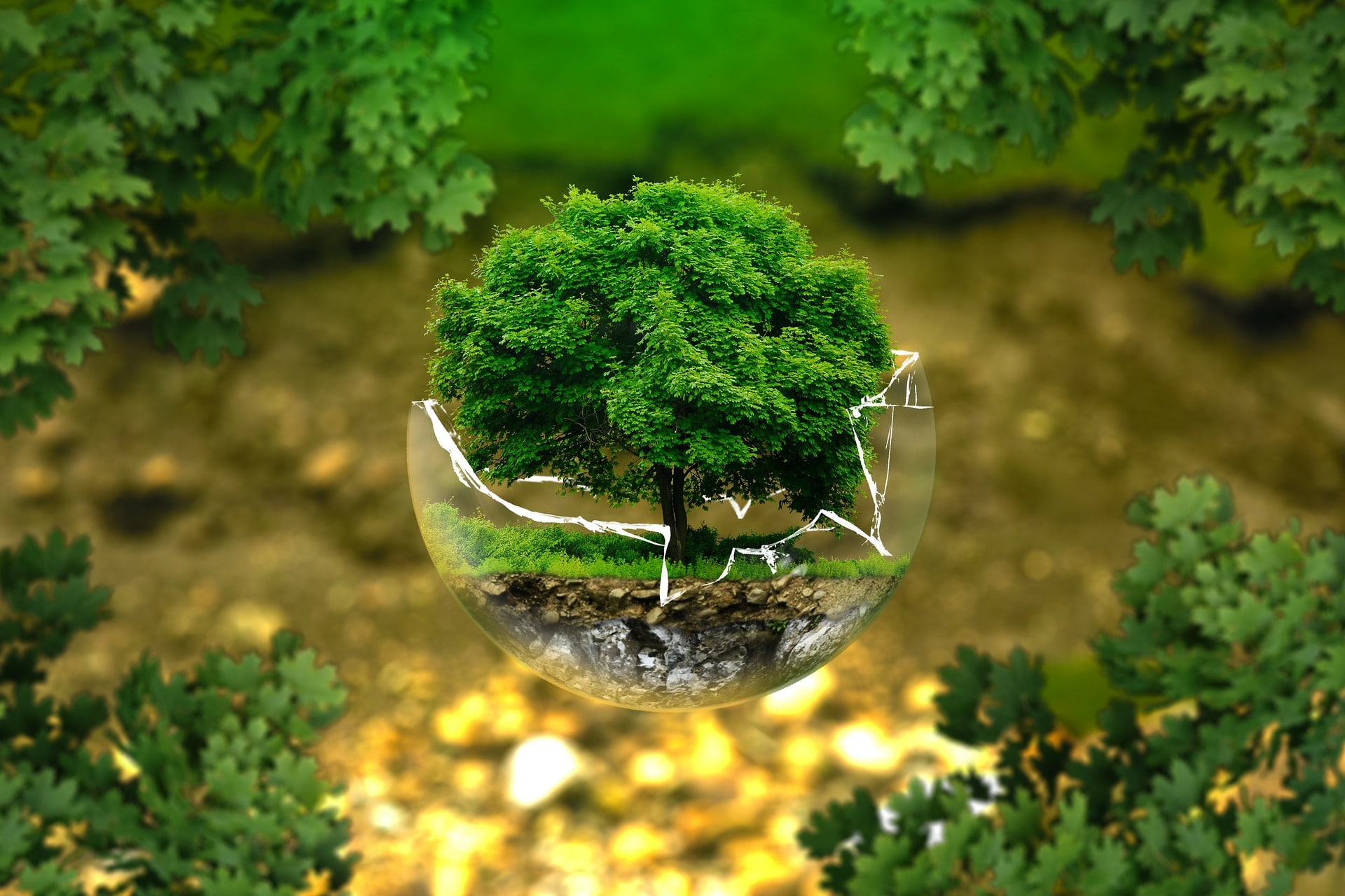 Lire la suite à propos de l’article L&rsquo;Affaire du Siècle : Vers une accélération à court-terme de l’action publique en matière de lutte contre le réchauffement climatique sous la pression de la justice – administrative – climatique ?